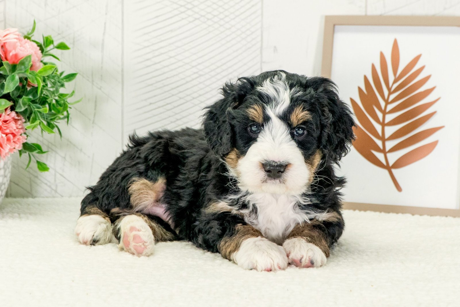 2025 01 27 14.25.23 2