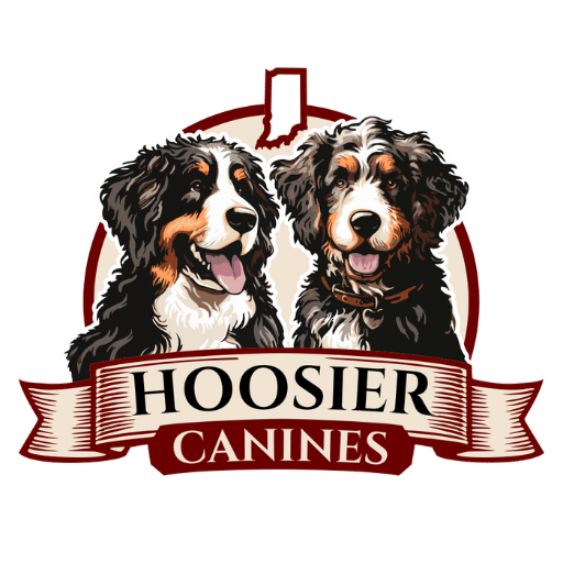 The Logo for Hoosier Canines, experienced, ethical Bernedoodle Breeder in Lagrange, IN.