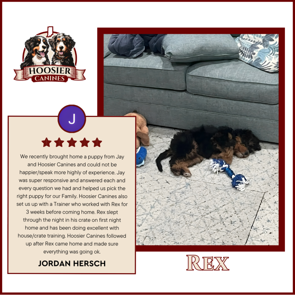 Cooper Hoosier Canines